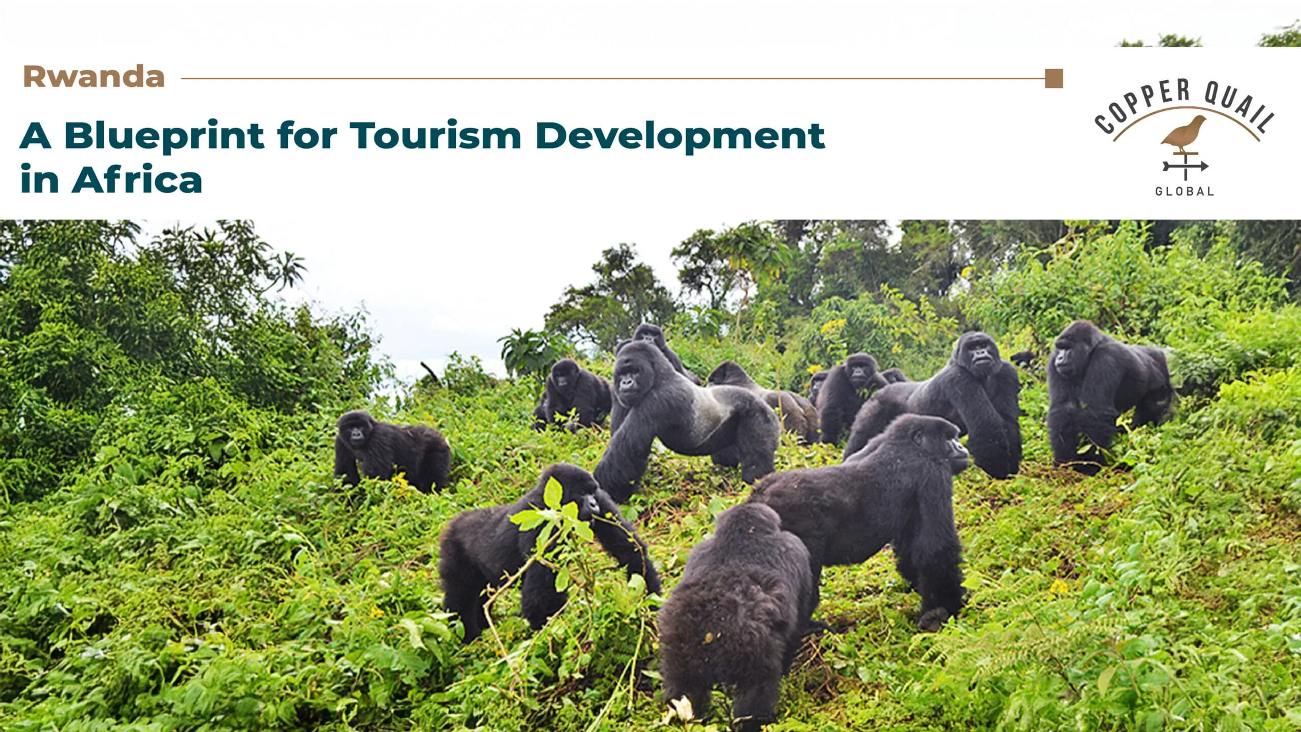 Rwanda Goes All-Out to Become a Major Tourism Hub