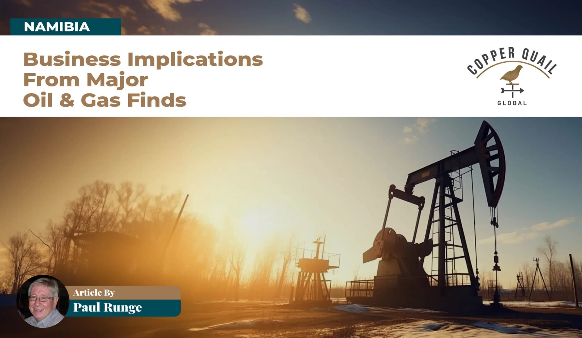 #8 NAMIBIA: BUSINESS IMPLICATIONS FROM MAJOR OIL &amp; GAS FINDS