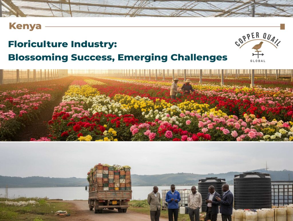 Kenya’s Floriculture Industry