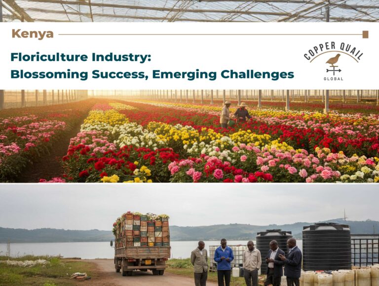 Kenya’s Floriculture Industry
