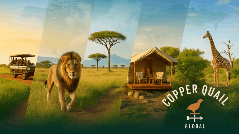 africaSanet ezgif.com resize