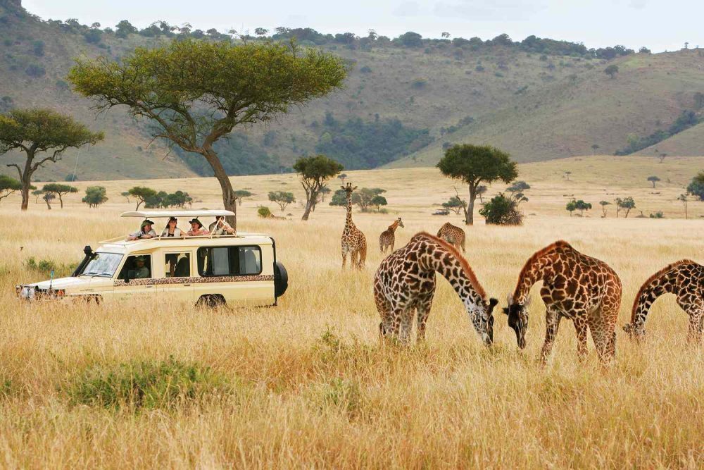 Safari in Developing African Countries