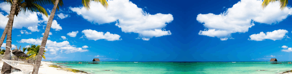 Executive Search & Leadership Recruitment in Mauritius 1 Executive search Mauritius